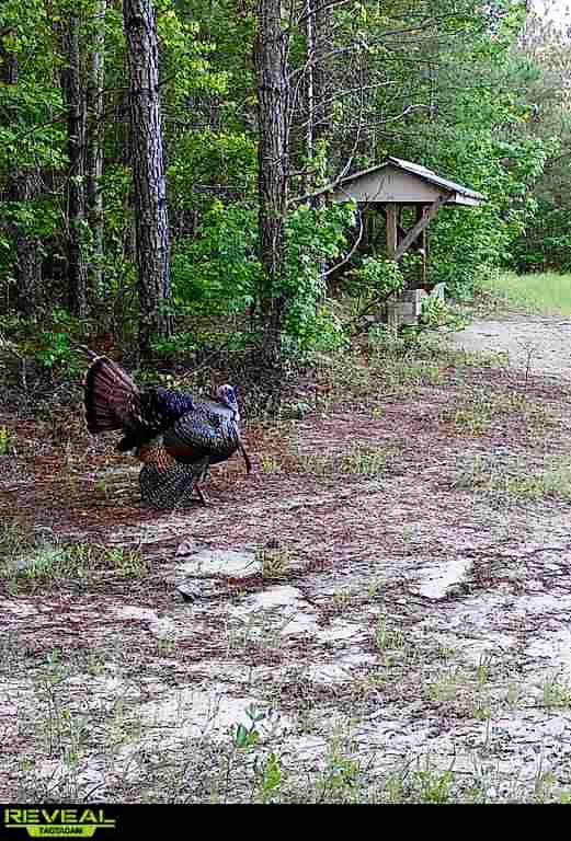 North Taylor Ranch Photo