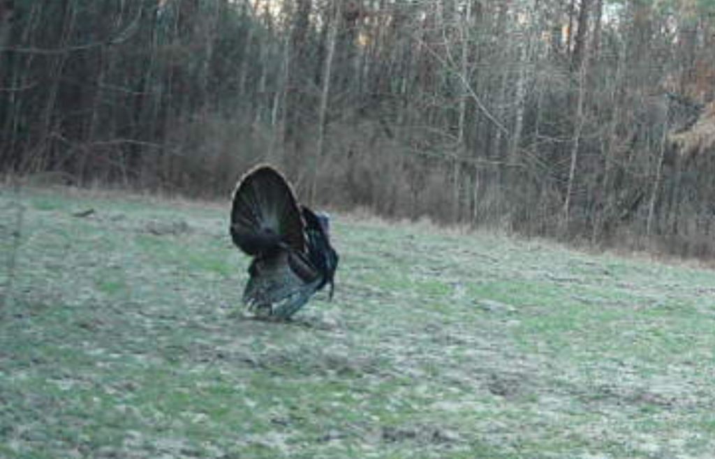 North Taylor Ranch Photo