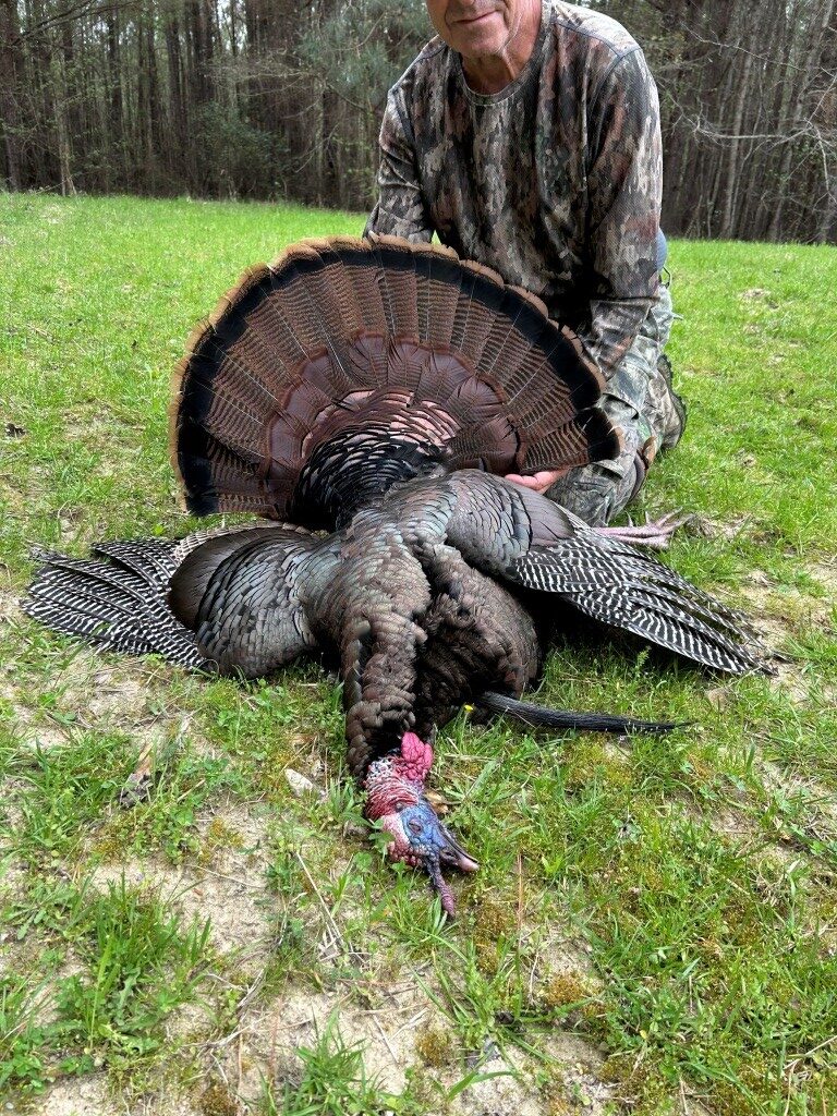 North Taylor Ranch Photo