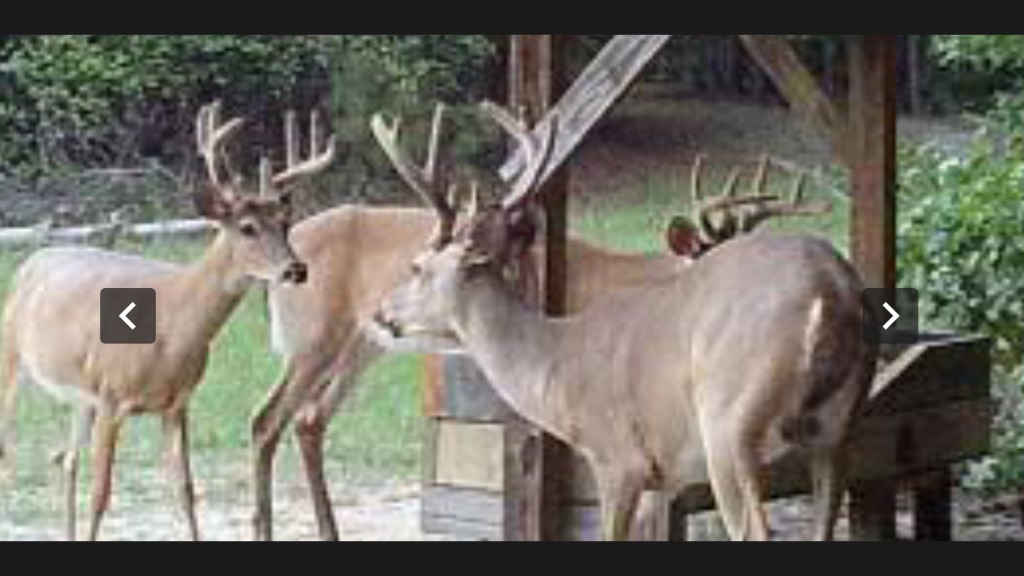 North Taylor Ranch Photo