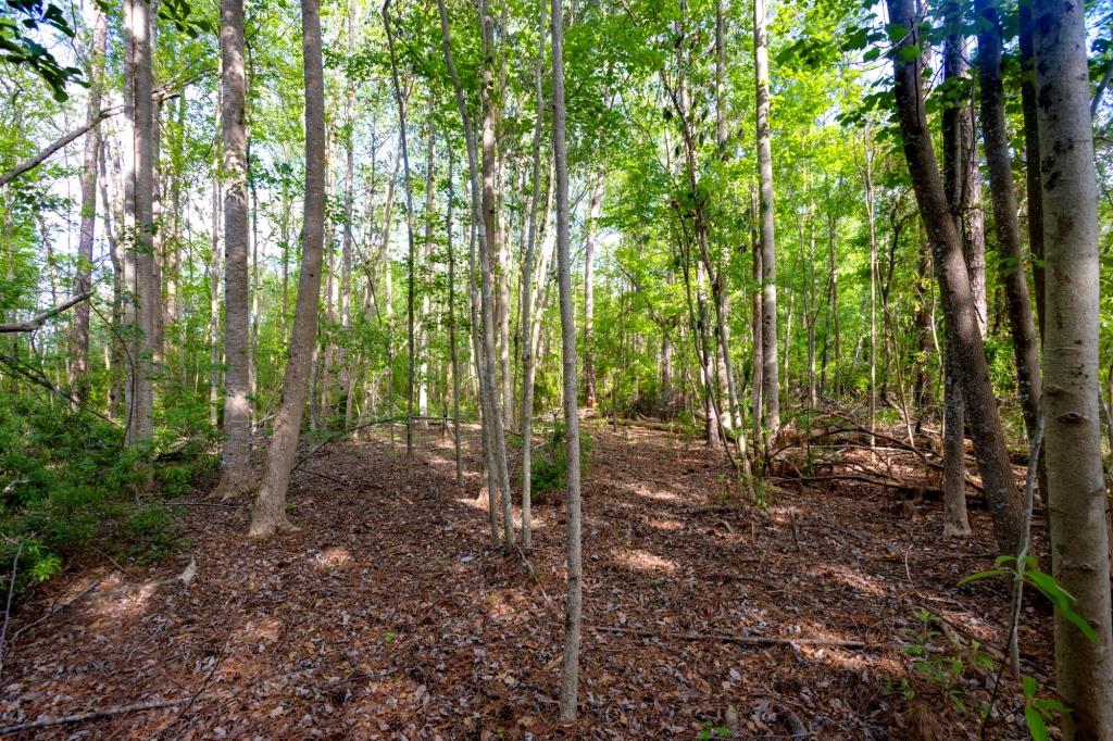 Lot 3 – Siesta Lane Photo