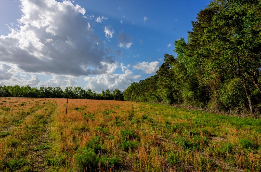 Lot 3 – Siesta Lane Photo