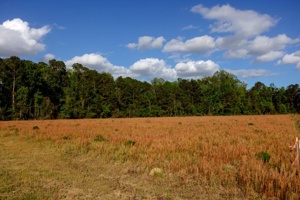 Lot 3 – Siesta Lane Photo