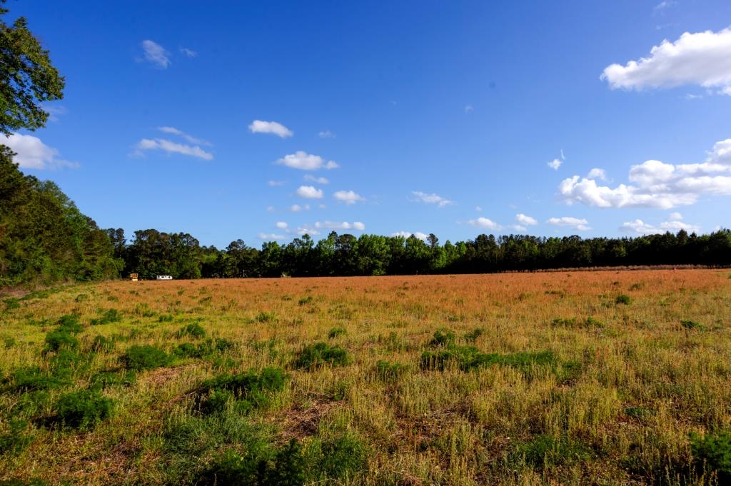 Lot 3 – Siesta Lane Photo