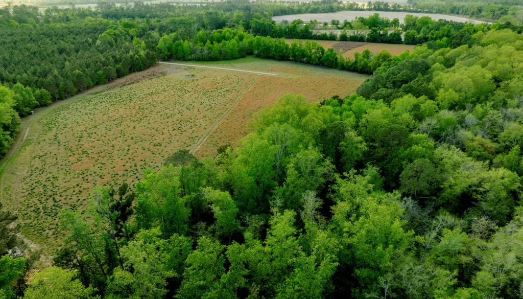 Lot 3 – Siesta Lane Photo