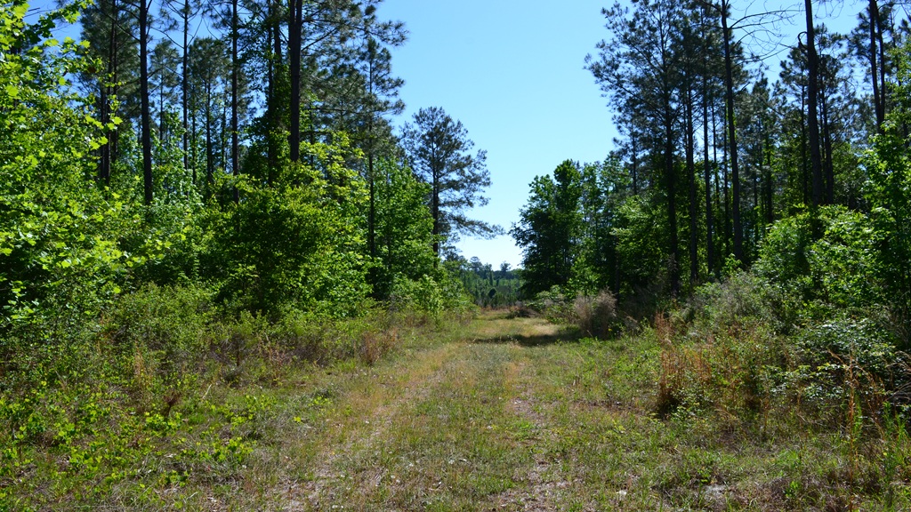 Mayberry Tract 2 Photo