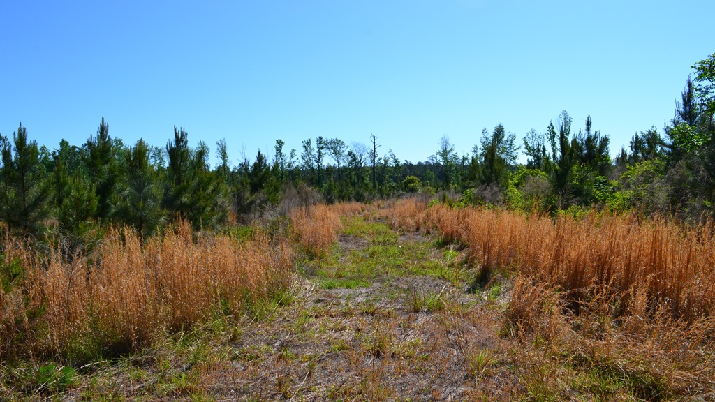 Mayberry Tract 2 Photo