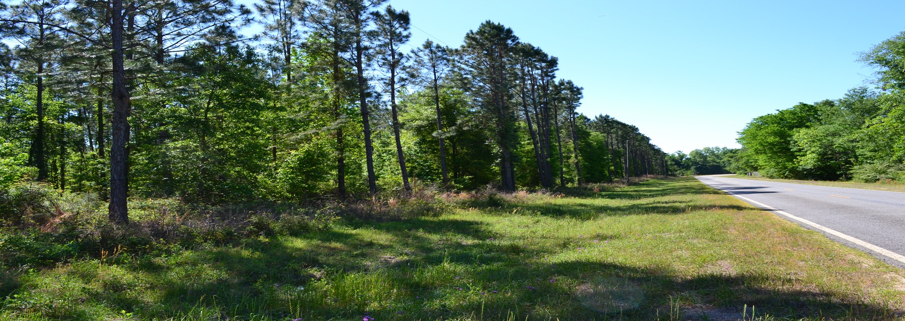 Mayberry Tract 1 Main Photo