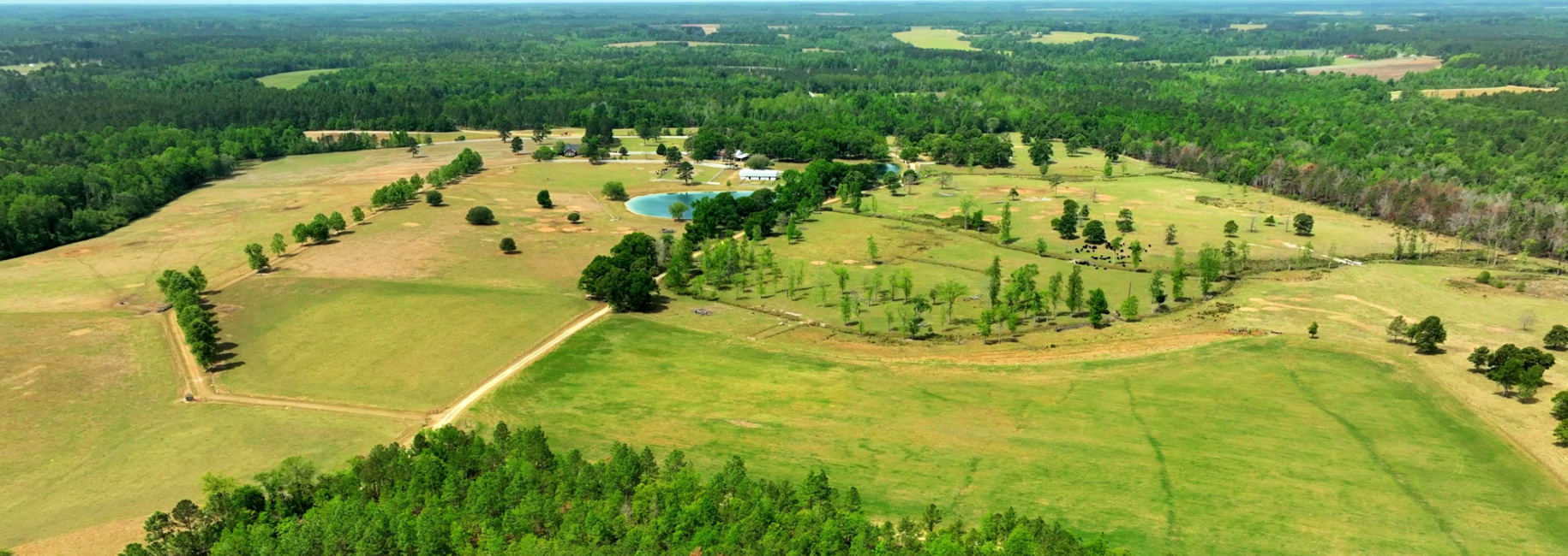 Elysian Fields Cattle Farm Main Photo