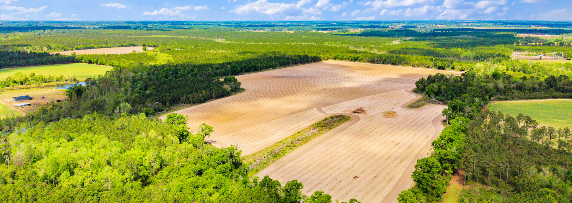 Wolf Branch Farm Main Photo