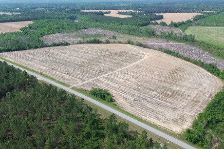 Bunn Store Road – Tract 3