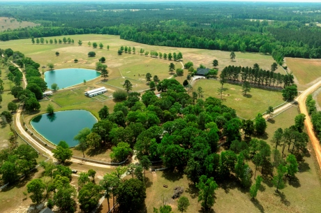 Elysian Fields Cattle Farm