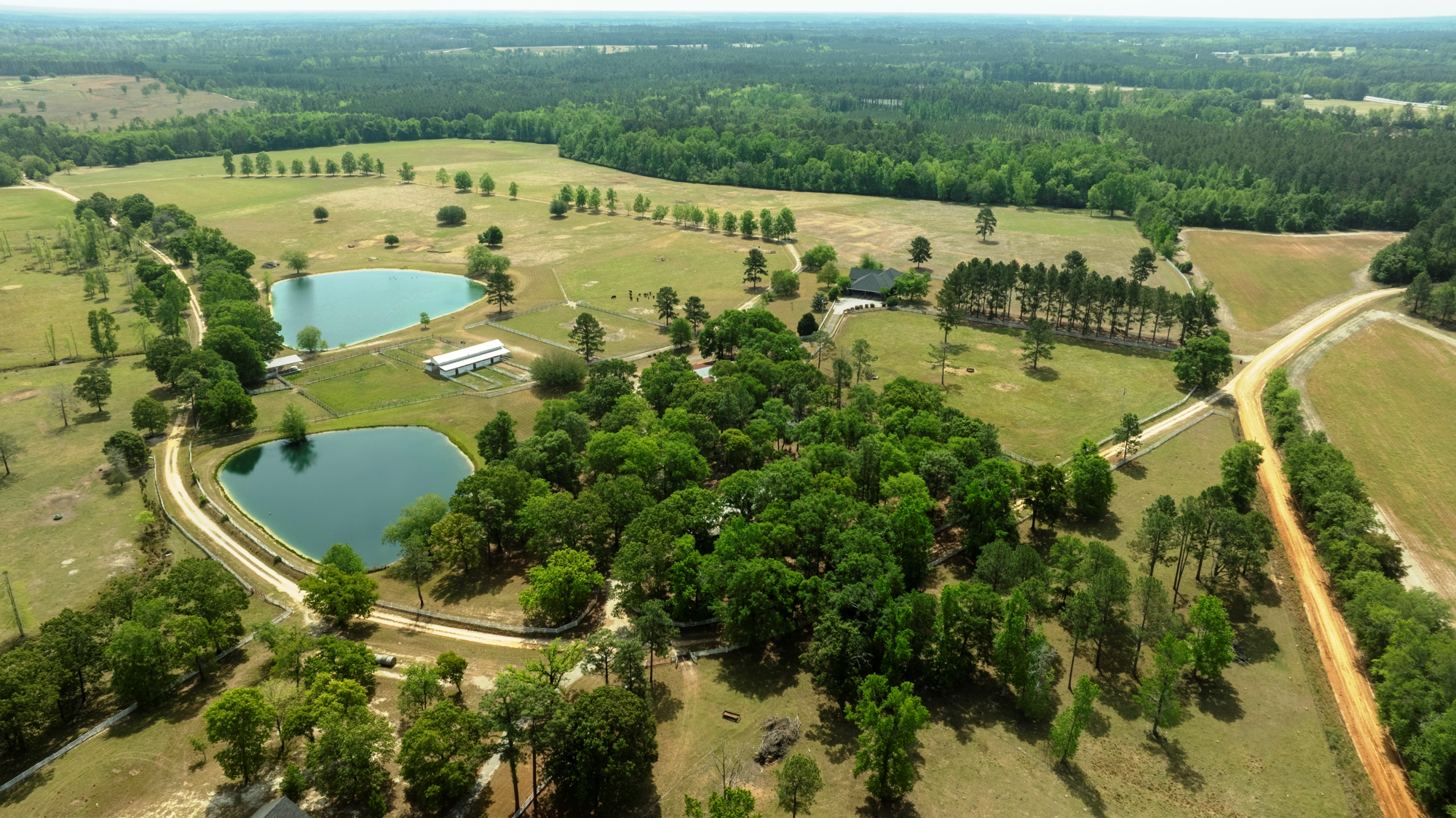 Elysian Fields Cattle Farm