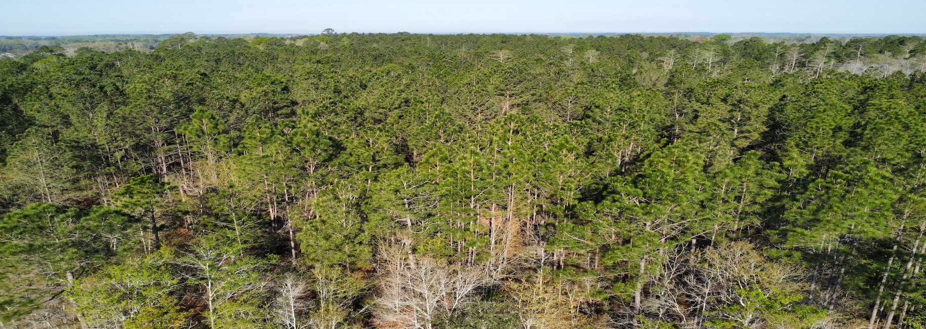 Graham Knight Road – Tract 2 Photo