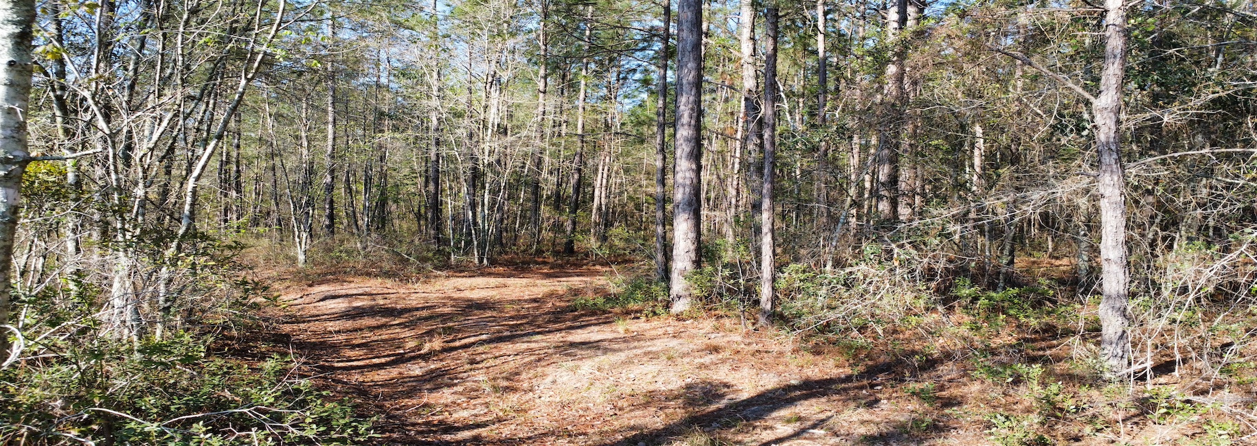 Graham Knight Road – Tract 2 Photo