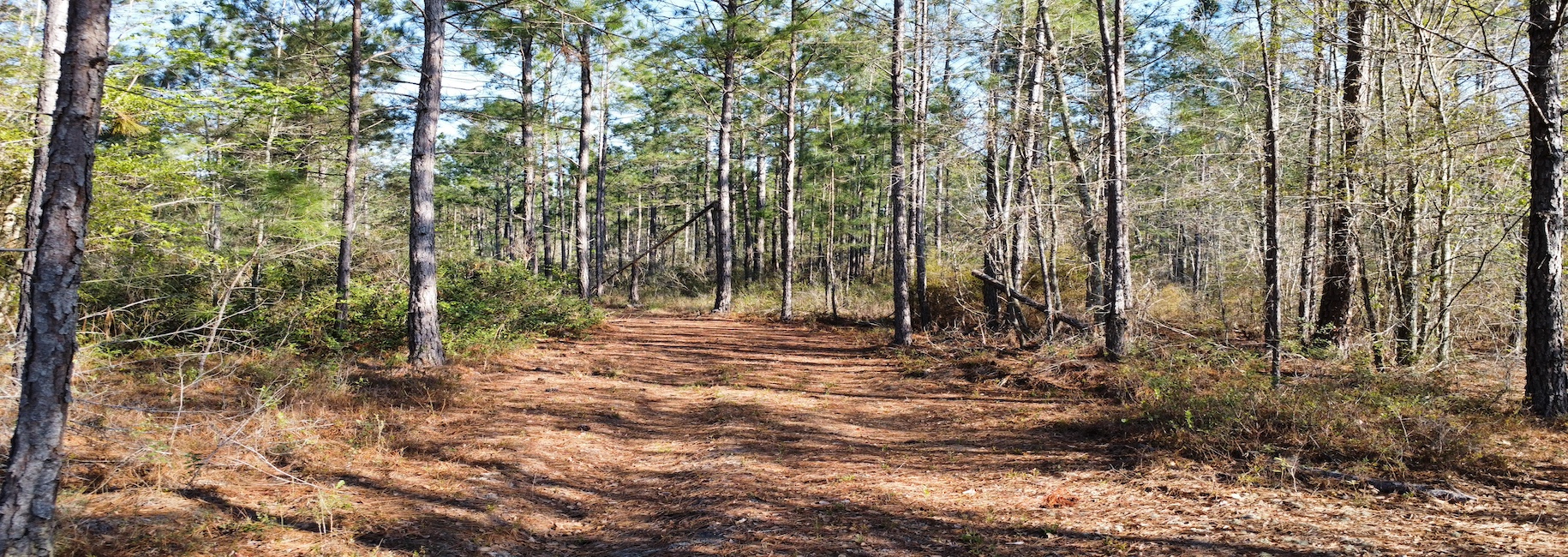 Graham Knight Road – Tract 2 Photo