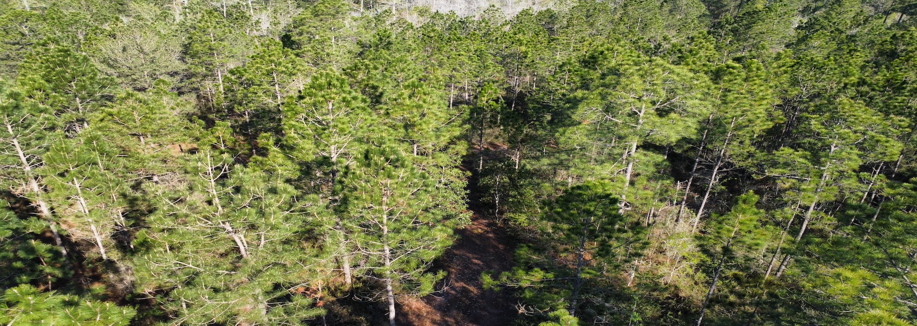 Graham Knight Road – Tract 2 Photo