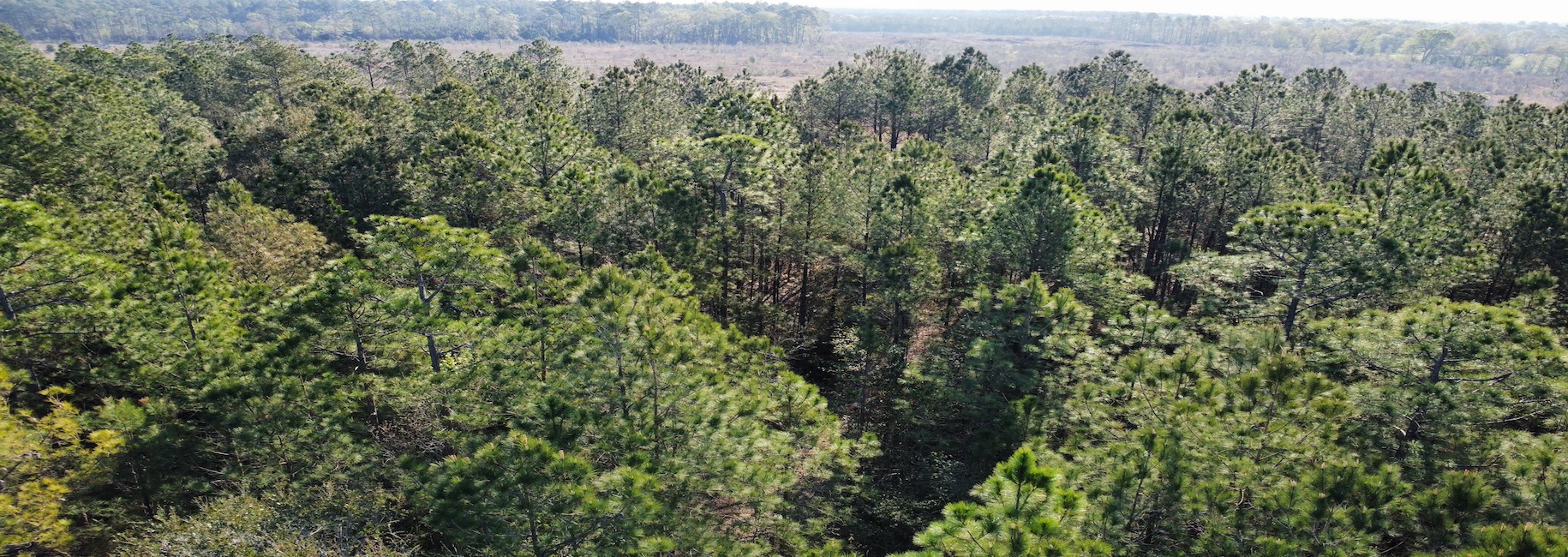 Graham Knight Road – Tract 2 Photo