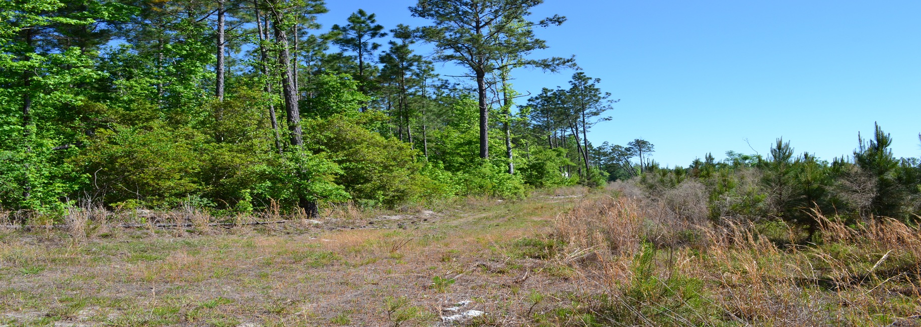 Mayberry Tract 6 Main Photo