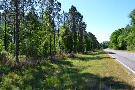 Mayberry Tract 4