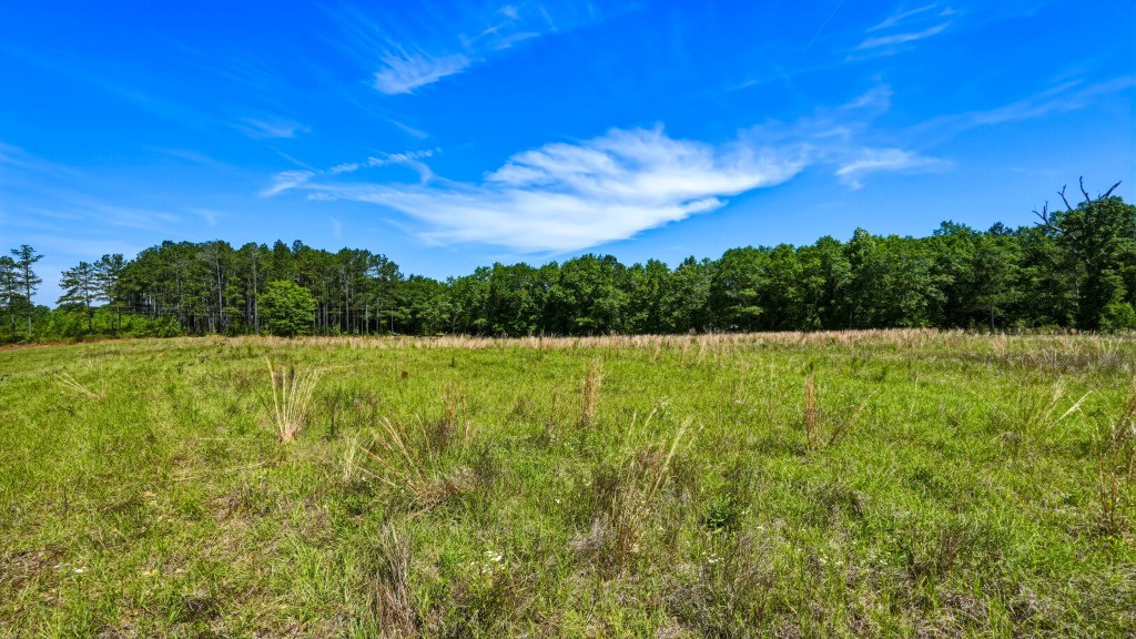 Indian Road Homeplace Photo