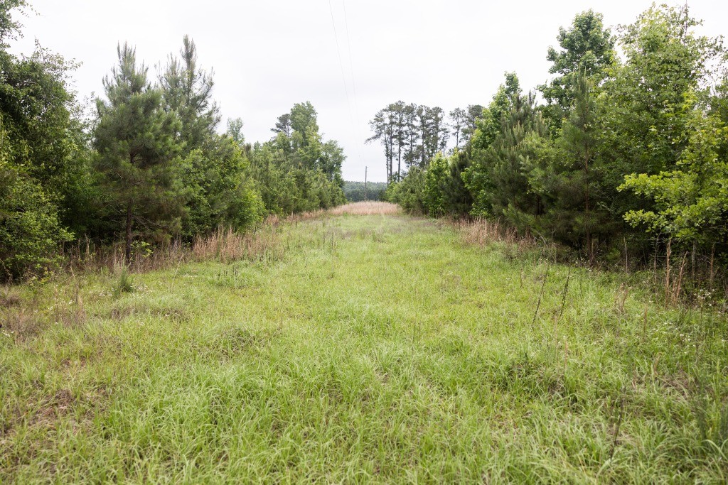 Adams Hammock Homestead Photo