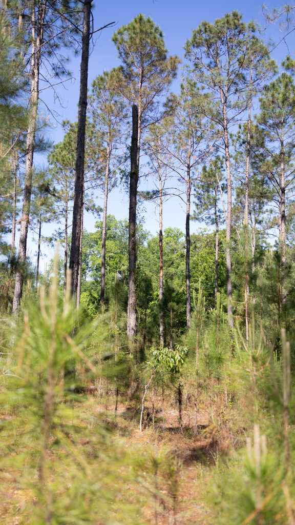 Reedy Branch Retreat Photo