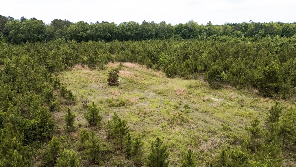 Adams Hammock Homestead Photo