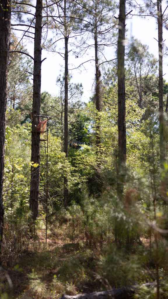 Reedy Branch Retreat Photo