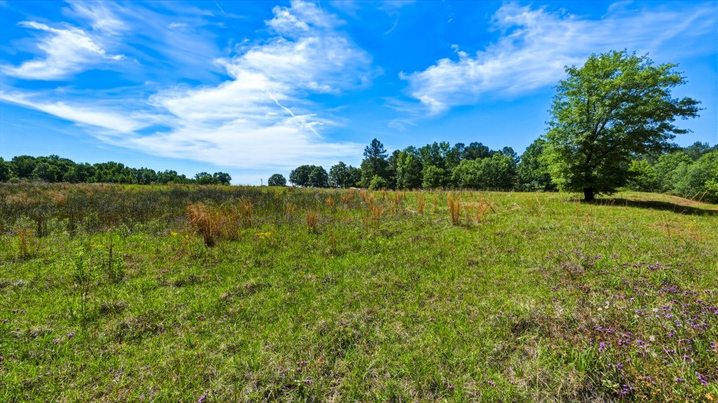 Indian Road Homeplace Photo
