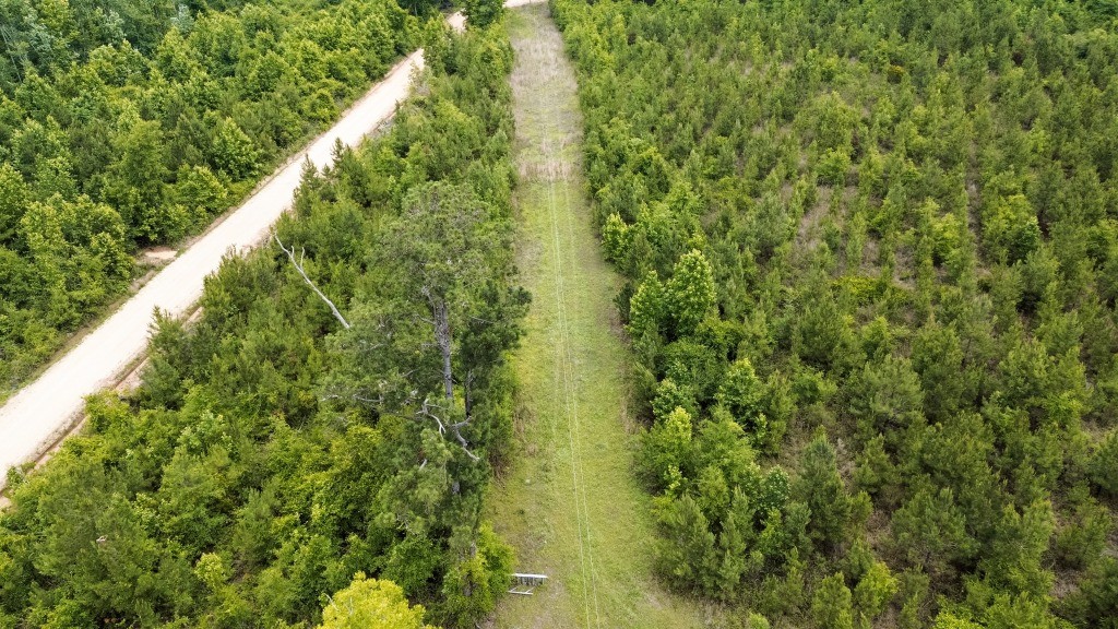 Adams Hammock Homestead Photo