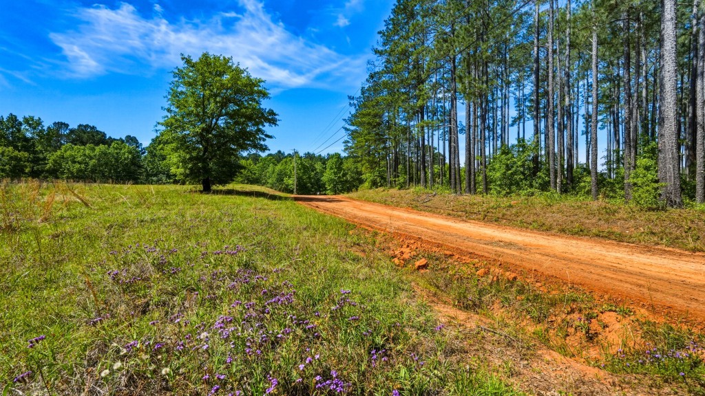 Indian Road Homeplace Photo