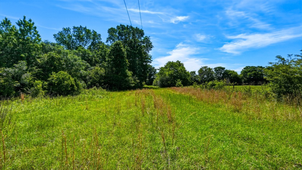 Indian Road Homeplace Photo