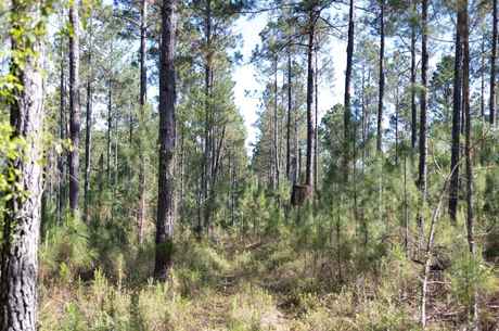 Reedy Branch Retreat