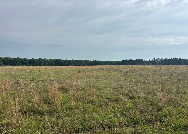 Jarrell Pond Place Photo