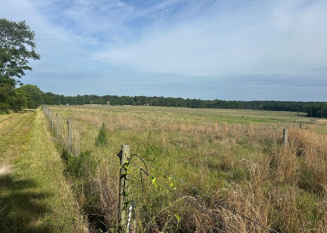 Jarrell Pond Place Photo