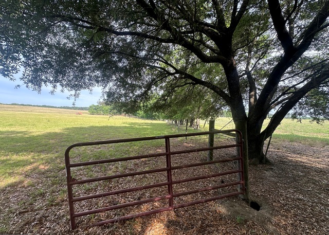 Jarrell Pond Place Photo