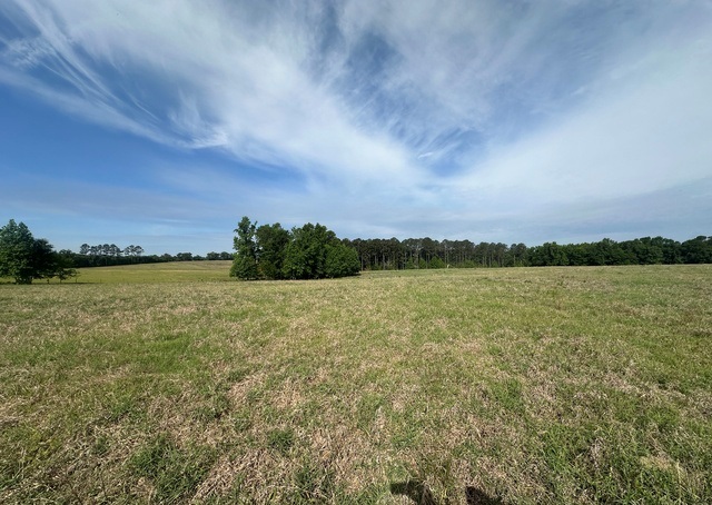 Jarrell Pond Place Photo