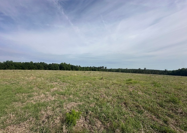 Jarrell Pond Place Photo
