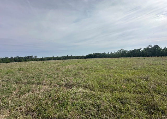 Jarrell Pond Place Photo