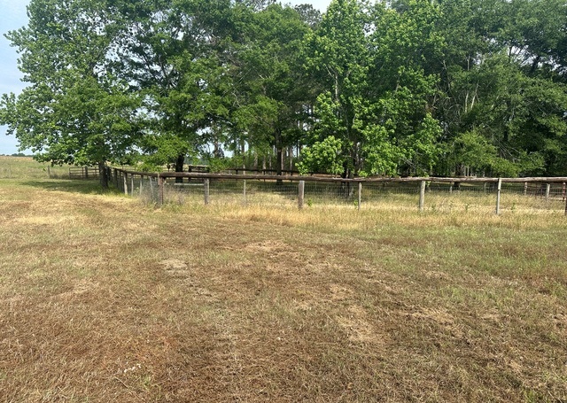 Jarrell Pond Place Photo