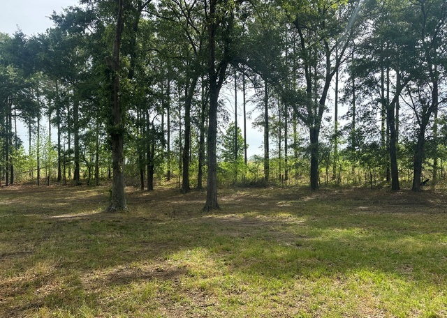 Jarrell Pond Place Photo