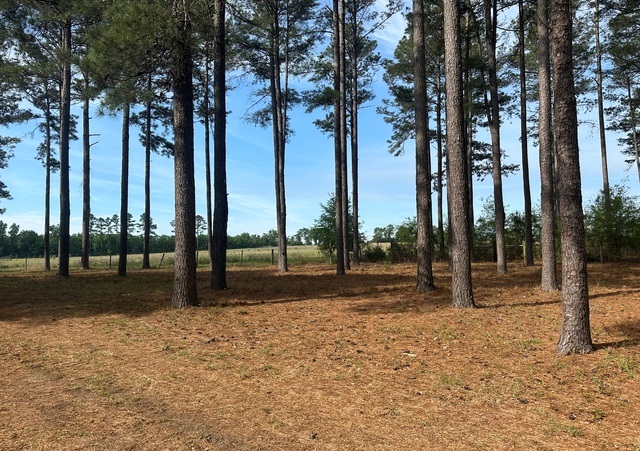 Jarrell Pond Place Photo