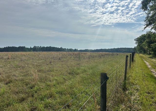 Jarrell Pond Place Photo