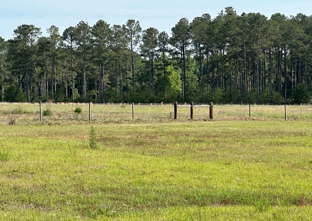 Jarrell Pond Place Photo