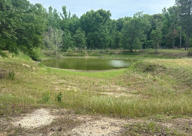 Jarrell Pond Place Photo