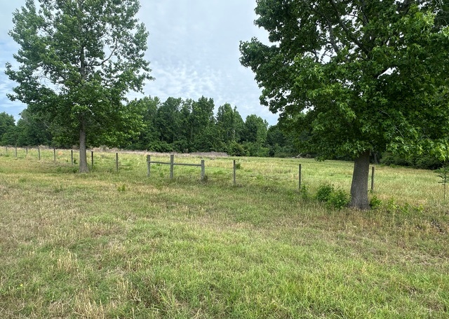 Jarrell Pond Place Photo