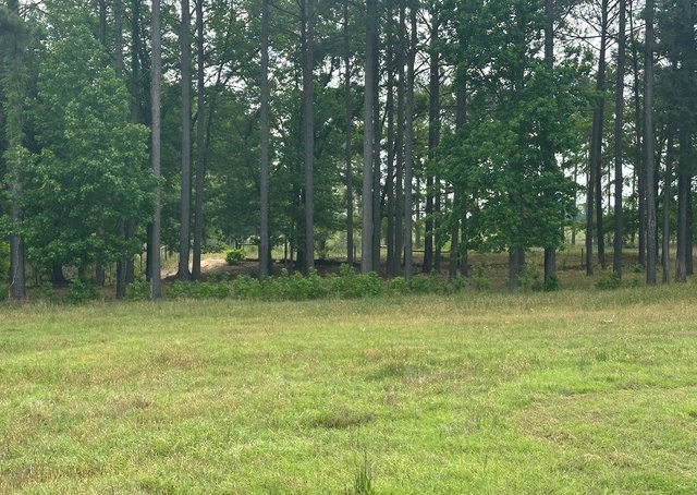 Jarrell Pond Place Photo