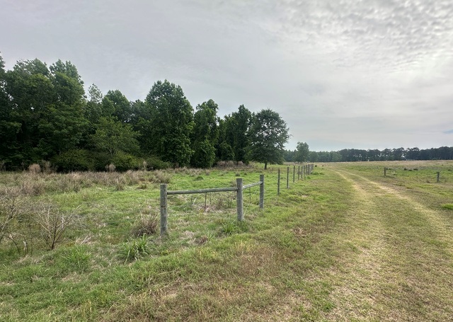 Jarrell Pond Place Photo