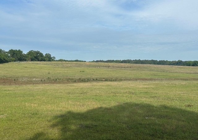 Jarrell Pond Place Photo